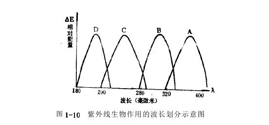 紫外線致黑斑效應(yīng)