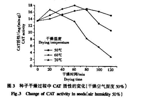 高溫干燥對(duì)白菜生命活性變化