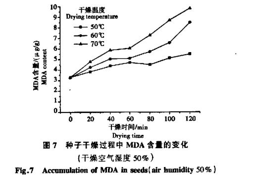 高溫干燥條件對白菜生命破壞試驗